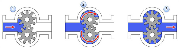 Diagram of External Gear Pump