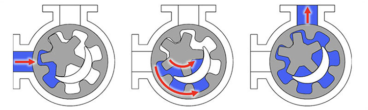 Diagram of Internal Gear Pump