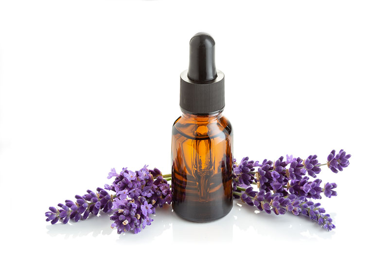 Lavender Essential Oil