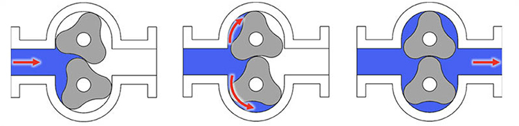 Diagram of Lobe Pump